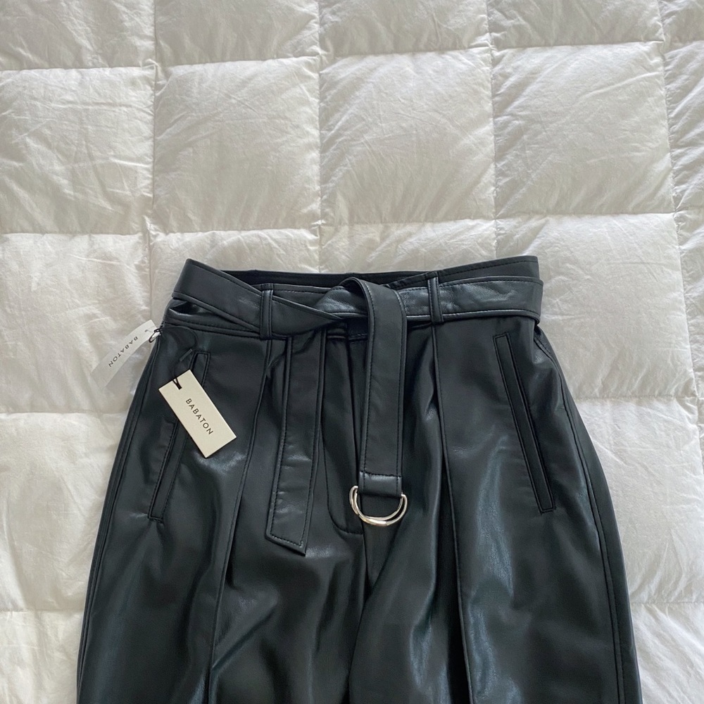 aritzia vegan leather pants